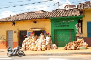 Wesley Tomaselli 2013