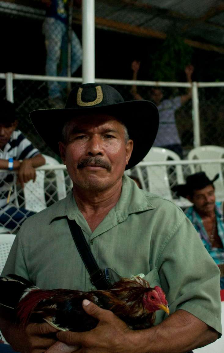 Orlando with his cock